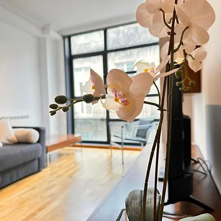 Apartment Centrico Irmandinos Con Garaje - Homeygalicia Vigo