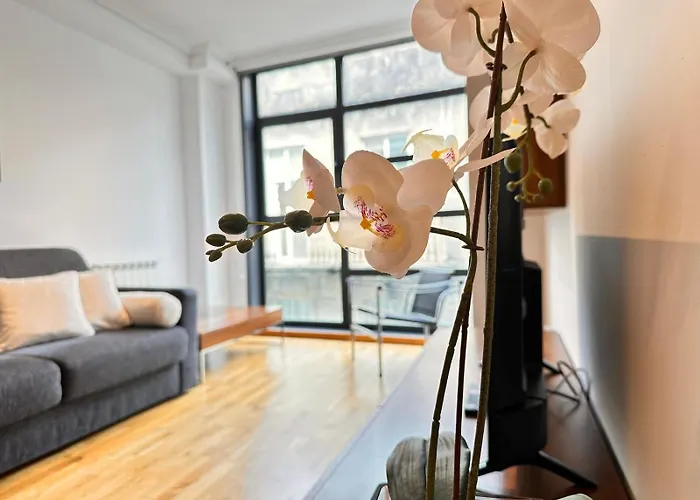 Apartman Centrico Irmandinos Con Garaje - Homeygalicia Vigo